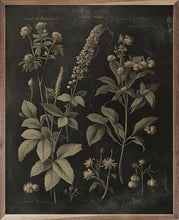 Load image into Gallery viewer, Vintage Floral Natural Framed Prints