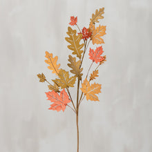 Load image into Gallery viewer, Oak and Maple Wood Leaves  Collection