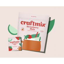 Load image into Gallery viewer, Craftmix Drink Mixers