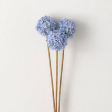Load image into Gallery viewer, Blue Spring Allium Bunch