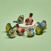 Load image into Gallery viewer, Birds of a Feather Hand-Painted Birds