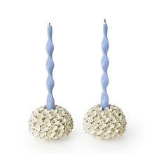 Load image into Gallery viewer, Hydrangea Flower Bud Vase / Taper Candle Holder
