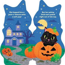 Load image into Gallery viewer, Little Cat by Maggie Fischer