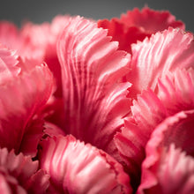 Load image into Gallery viewer, Dark Pink Tulip Bush