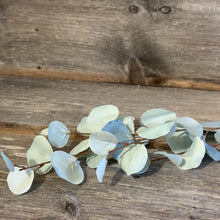 Load image into Gallery viewer, Eucalyptus Spray
