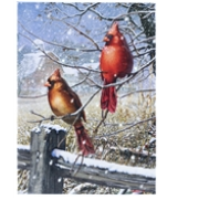 Load image into Gallery viewer, LED Lighted Pictures