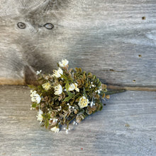 Load image into Gallery viewer, Chalice Blooms Floral Collection