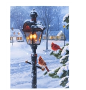 Load image into Gallery viewer, LED Lighted Pictures