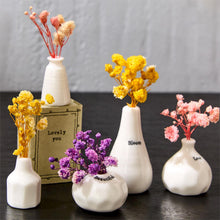 Load image into Gallery viewer, Small Vase in Matchbox