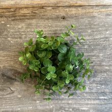 Load image into Gallery viewer, Eucalyptus Taper Ring