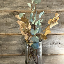 Load image into Gallery viewer, Eucalyptus Spray