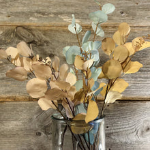 Load image into Gallery viewer, Eucalyptus Spray