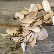 Load image into Gallery viewer, Eucalyptus Spray