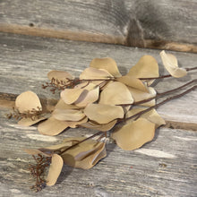 Load image into Gallery viewer, Eucalyptus Spray
