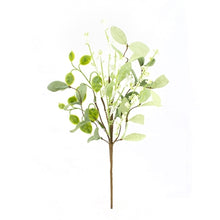 Load image into Gallery viewer, Green Leaf Floral Collection