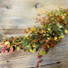 Load image into Gallery viewer, Rust Bog Pimpernel Collection