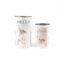Load image into Gallery viewer, Hoppy Spring/ Hello Spring Metal Buckets