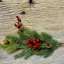 Load image into Gallery viewer, Alpine Greenery Collection