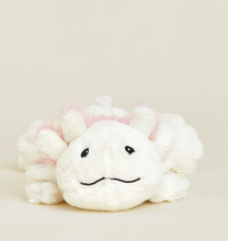 Load image into Gallery viewer, Warmies