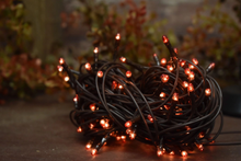 Load image into Gallery viewer, Primitive Rice Teeny Bulb String Lights