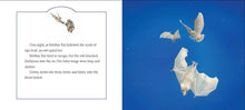 Load image into Gallery viewer, Stellaluna Board Book : Janell Cannon