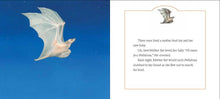 Load image into Gallery viewer, Stellaluna Board Book : Janell Cannon