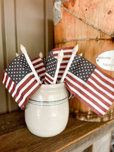 Load image into Gallery viewer, Americana Flag Picks
