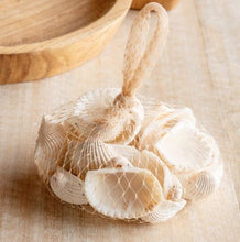 Load image into Gallery viewer, Sea Shells in Net Bag
