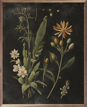 Load image into Gallery viewer, Vintage Floral Natural Framed Prints