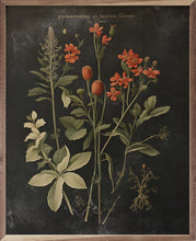 Load image into Gallery viewer, Vintage Floral Natural Framed Prints