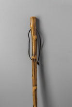 Load image into Gallery viewer, Lodge Take a Hike Walking Stick