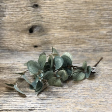 Load image into Gallery viewer, Mini Eucalyptus Pick