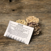 Load image into Gallery viewer, Fire Starters