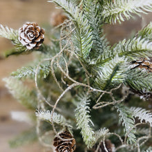 Load image into Gallery viewer, Spanish Moss Strands