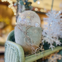 Load image into Gallery viewer, Spanish Moss Strands