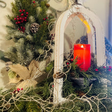 Load image into Gallery viewer, Spanish Moss Strands