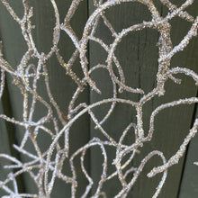 Load image into Gallery viewer, Spanish Moss Strands