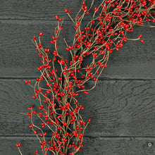 Load image into Gallery viewer, Red Pip Berry Garland

