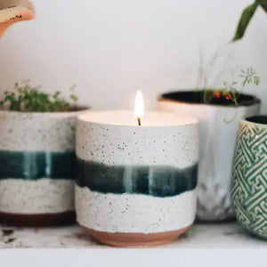 Edith, Sandalwood + Vanilla | Growing Candle