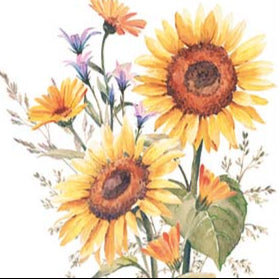 Sunflower Lunch Napkins
