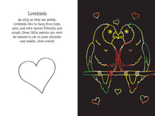 Load image into Gallery viewer, Pet Shop Scratch and Sketch
