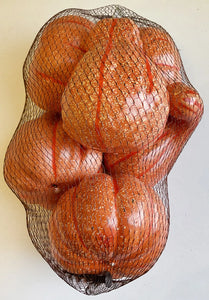 Pumpkins and Gourds Large Sized