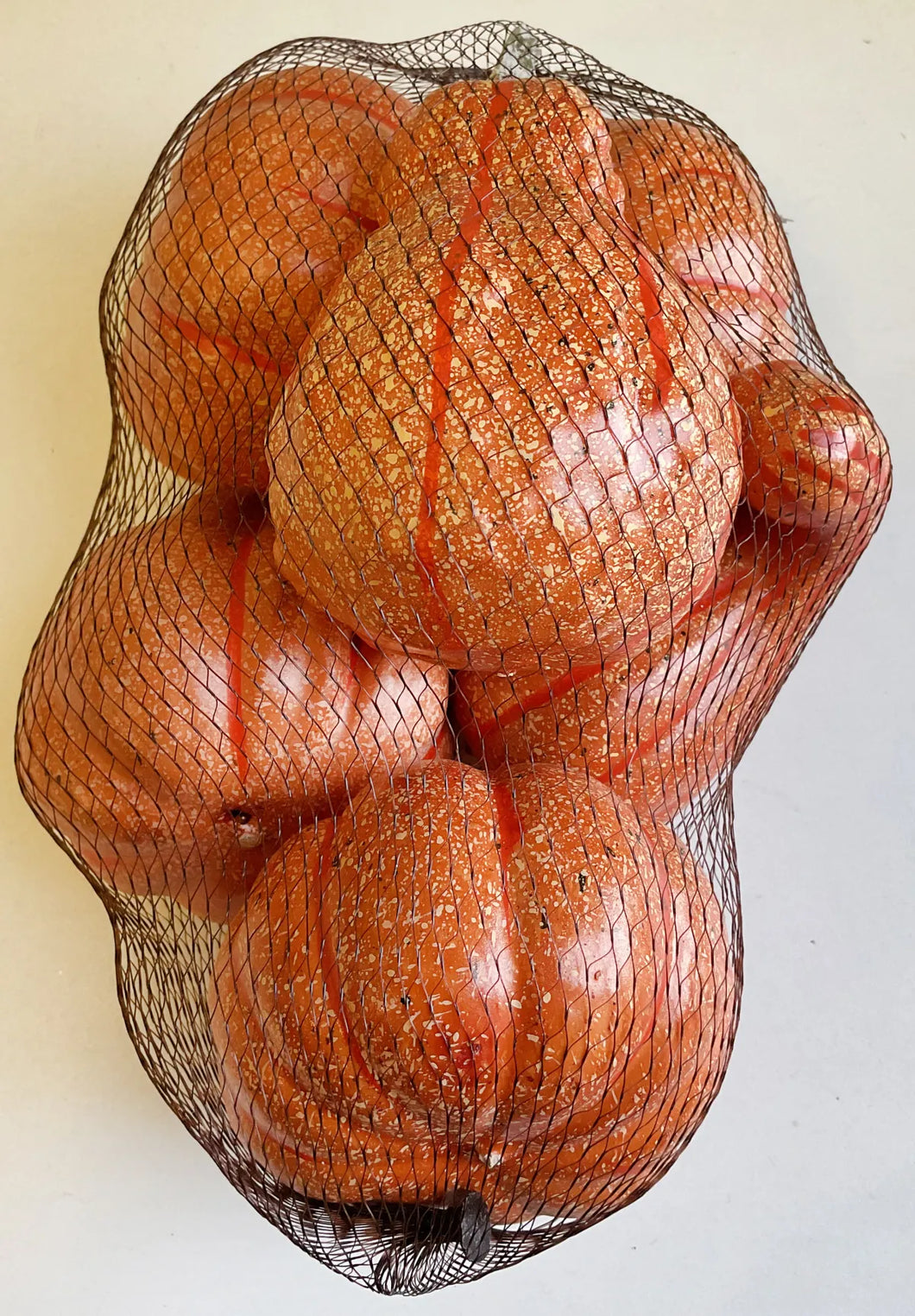 Pumpkins and Gourds Large Sized