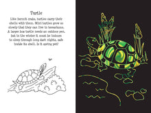 Load image into Gallery viewer, Pet Shop Scratch and Sketch
