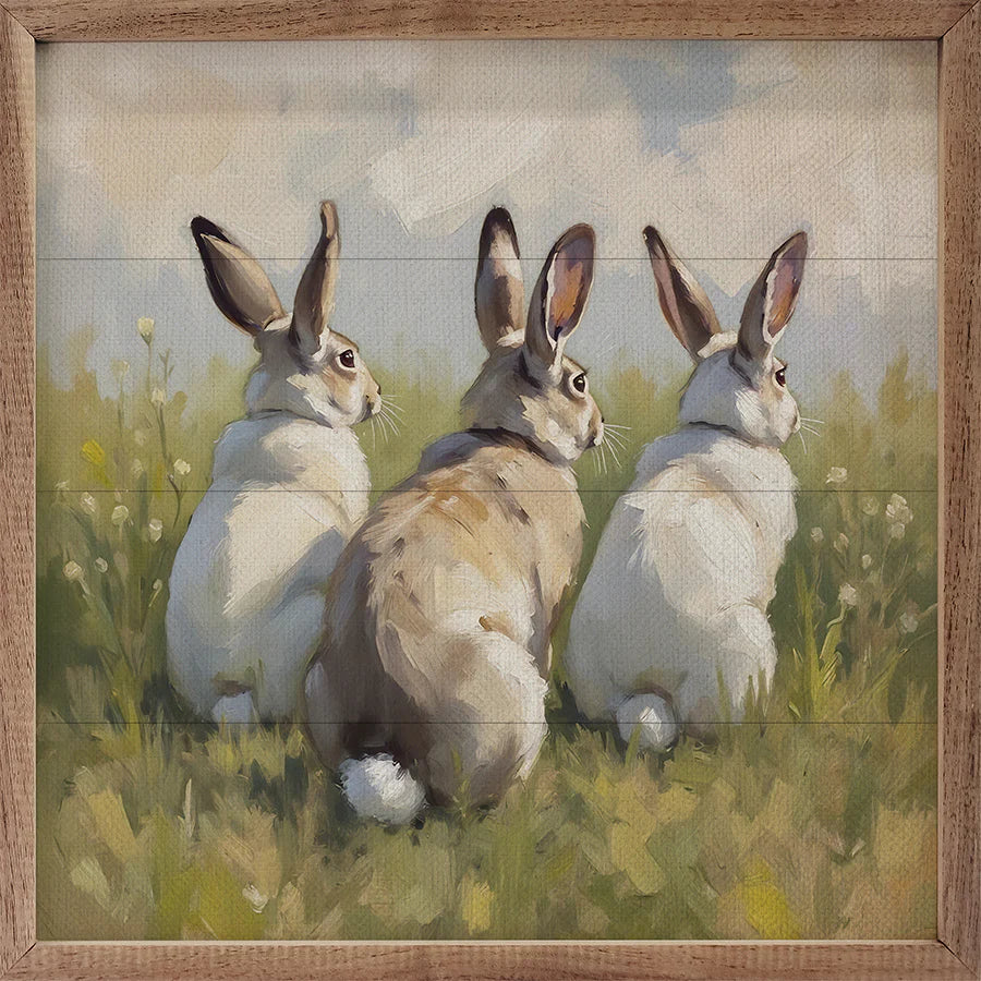 3 Bunnies in Green Field Picture