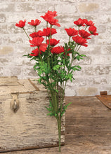 Load image into Gallery viewer, Breeze Swept Blooms Bush Red
