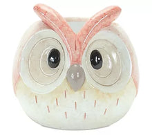 Load image into Gallery viewer, Terra Cotta Owl Planter
