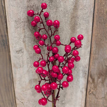 Load image into Gallery viewer, Red Berry Pick
