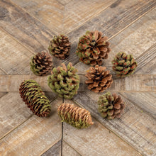 Load image into Gallery viewer, Pinecone, Moss &amp; Sequin Bowl Filler
