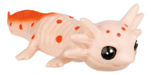 Load image into Gallery viewer, Aquoddities Squishimals (squishy toy)
